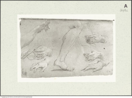 Vorderseite von Istituto Nazionale per la Grafica [https://www.deutsche-digitale-bibliothek.de/content/lizenzen/rv-ez/] Detailstudien - , bh463332_recto. Foto.