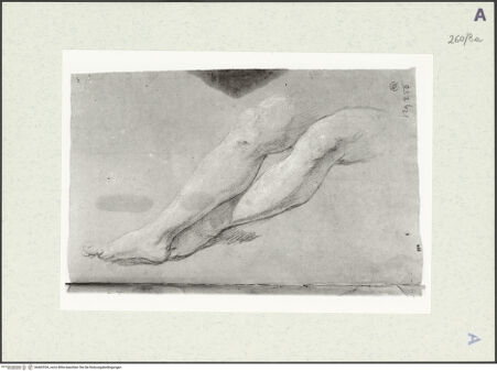 Vorderseite von Istituto Nazionale per la Grafica [https://www.deutsche-digitale-bibliothek.de/content/lizenzen/rv-ez/] Studie zu einem Beinpaar - , bh463334_recto. Foto.