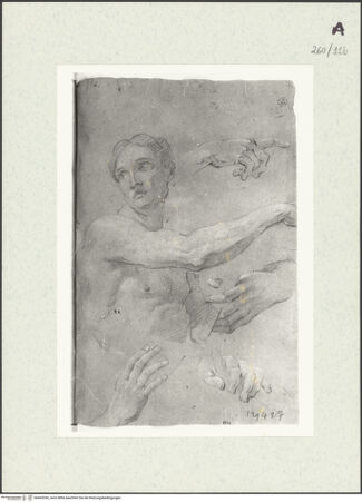 Vorderseite von Istituto Nazionale per la Grafica [https://www.deutsche-digitale-bibliothek.de/content/lizenzen/rv-ez/] Männliche Büste. Handstudien - , bh463336_recto. Foto.