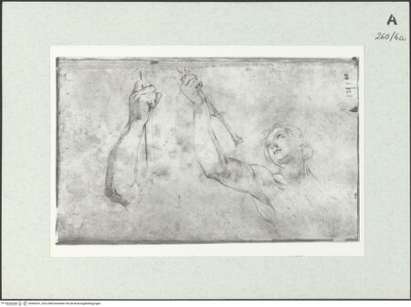 Vorderseite von Istituto Nazionale per la Grafica [https://www.deutsche-digitale-bibliothek.de/content/lizenzen/rv-ez/] Weibliche Gestalt in Halbfigur und Armstudie - , bh463337_recto. Foto.