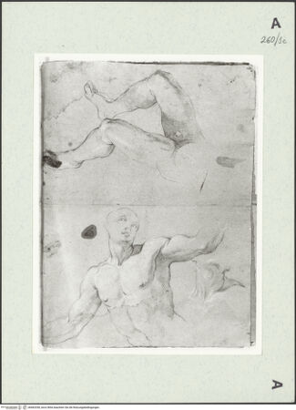 Vorderseite von Istituto Nazionale per la Grafica [https://www.deutsche-digitale-bibliothek.de/content/lizenzen/rv-ez/] Figurenstudien - , bh463338_recto. Foto.