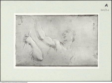 Vorderseite von Istituto Nazionale per la Grafica [https://www.deutsche-digitale-bibliothek.de/content/lizenzen/rv-ez/] Weibliche Gestalt in Halbfigur und dazugehörige Armstudie - , bh463339_recto. Foto.