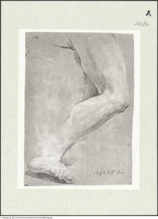 Vorderseite von Istituto Nazionale per la Grafica [https://www.deutsche-digitale-bibliothek.de/content/lizenzen/rv-ez/] Beinstudie - , bh463354_recto. Foto.