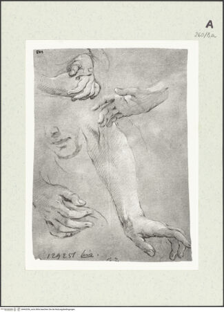 Vorderseite von Istituto Nazionale per la Grafica [https://www.deutsche-digitale-bibliothek.de/content/lizenzen/rv-ez/] Detailstudien - , bh463356_recto. Foto.