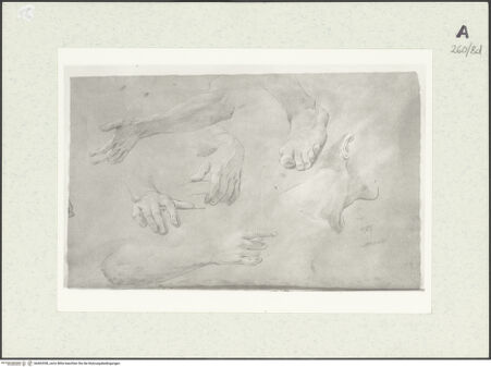 Vorderseite von Istituto Nazionale per la Grafica [https://www.deutsche-digitale-bibliothek.de/content/lizenzen/rv-ez/] Detailstudien - , bh463358_recto. Foto.