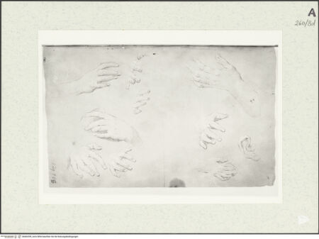 Vorderseite von Istituto Nazionale per la Grafica [https://www.deutsche-digitale-bibliothek.de/content/lizenzen/rv-ez/] Detailstudien - , bh463359_recto. Foto.