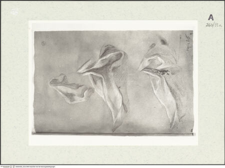 Vorderseite von Istituto Nazionale per la Grafica [https://www.deutsche-digitale-bibliothek.de/content/lizenzen/rv-ez/] Draperiestudien - , bh463360_recto. Foto.