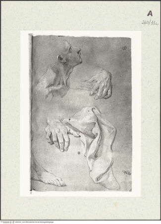 Vorderseite von Istituto Nazionale per la Grafica [https://www.deutsche-digitale-bibliothek.de/content/lizenzen/rv-ez/] Detailstudien - , bh463361_recto. Foto.