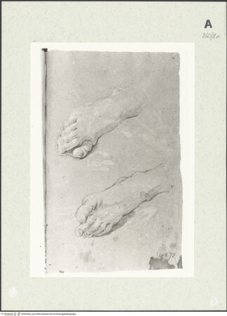 Vorderseite von Istituto Nazionale per la Grafica [https://www.deutsche-digitale-bibliothek.de/content/lizenzen/rv-ez/] Fußstudien - , bh463365_recto. Foto.