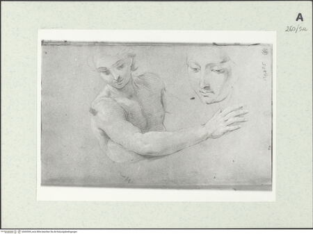 Vorderseite von Istituto Nazionale per la Grafica [https://www.deutsche-digitale-bibliothek.de/content/lizenzen/rv-ez/] Männliche Büste und Detailstudien - , bh463369_recto. Foto.