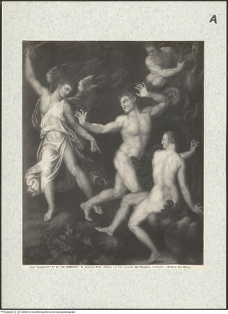 Vorderseite von bh463475_recto