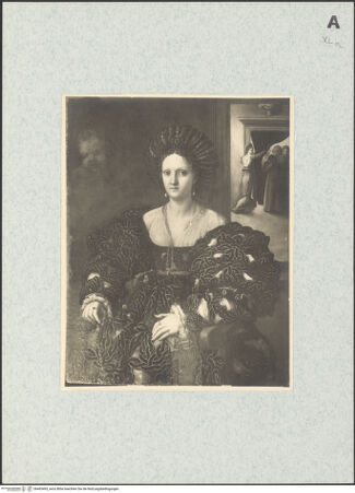 Vorderseite von bh463495_recto