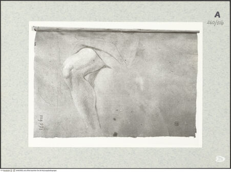 Vorderseite von Istituto Nazionale per la Grafica [https://www.deutsche-digitale-bibliothek.de/content/lizenzen/rv-ez/] Beinstudie - , bh463508_recto. Foto.