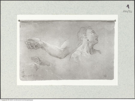 Vorderseite von Istituto Nazionale per la Grafica [https://www.deutsche-digitale-bibliothek.de/content/lizenzen/rv-ez/] Männliche Büste und Armstudien - , bh463527_recto. Foto.