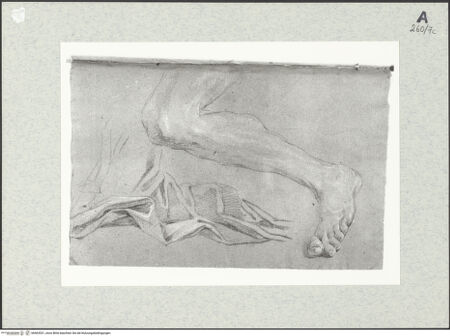 Vorderseite von Istituto Nazionale per la Grafica [https://www.deutsche-digitale-bibliothek.de/content/lizenzen/rv-ez/] Draperie- und Beinstudie - , bh463531_recto. Foto.