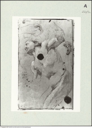 Vorderseite von Istituto Nazionale per la Grafica [https://www.deutsche-digitale-bibliothek.de/content/lizenzen/rv-ez/] Kniende männliche Gestalt - , bh463533_recto. Foto.