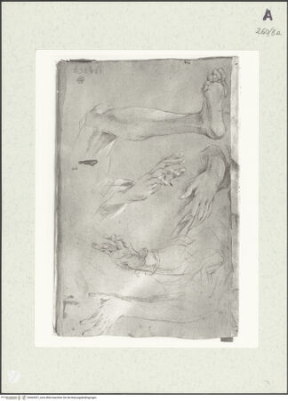 Vorderseite von Istituto Nazionale per la Grafica [https://www.deutsche-digitale-bibliothek.de/content/lizenzen/rv-ez/] Arm- und Beinstudien - , bh463557_recto. Foto.