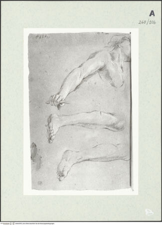 Vorderseite von Istituto Nazionale per la Grafica [https://www.deutsche-digitale-bibliothek.de/content/lizenzen/rv-ez/] Weibliche Büste und Beinstudien - , bh463599_recto. Foto.