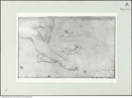 Vorderseite von Istituto Nazionale per la Grafica [https://www.deutsche-digitale-bibliothek.de/content/lizenzen/rv-ez/] Bein- und Handstudien - , bh463616_recto. Foto.