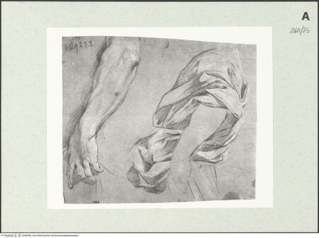 Vorderseite von Istituto Nazionale per la Grafica [https://www.deutsche-digitale-bibliothek.de/content/lizenzen/rv-ez/] Arm- und Draperiestudien - , bh463982_recto. Foto.