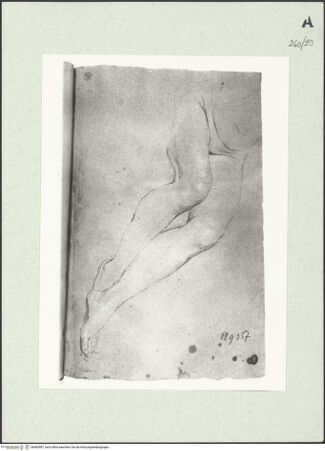 Vorderseite von Istituto Nazionale per la Grafica [https://www.deutsche-digitale-bibliothek.de/content/lizenzen/rv-ez/] Weibliche Gestalt - , bh463987_recto. Foto.