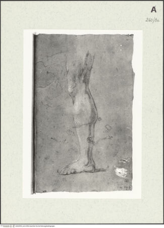 Vorderseite von Istituto Nazionale per la Grafica [https://www.deutsche-digitale-bibliothek.de/content/lizenzen/rv-ez/] Beinstudie - , bh463993_recto. Foto.