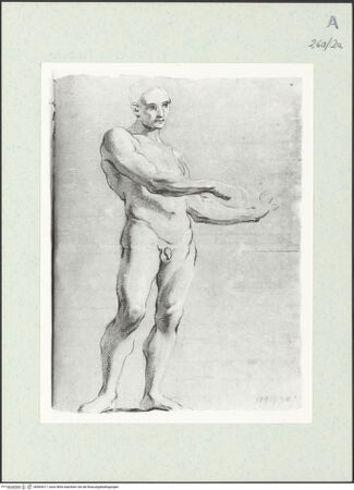 Vorderseite von Istituto Nazionale per la Grafica [https://www.deutsche-digitale-bibliothek.de/content/lizenzen/rv-ez/] Stehende männliche Gestalt - , bh464017_recto. Foto.