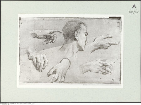 Vorderseite von Istituto Nazionale per la Grafica [https://www.deutsche-digitale-bibliothek.de/content/lizenzen/rv-ez/] Kopf- und Handstudien - , bh464028_recto. Foto.