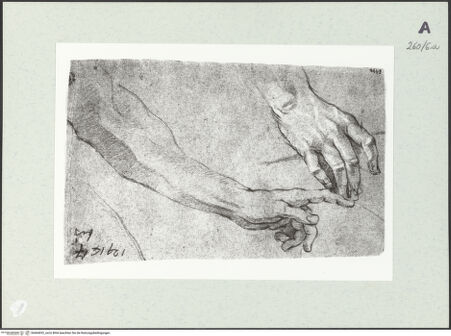 Vorderseite von Istituto Nazionale per la Grafica [https://www.deutsche-digitale-bibliothek.de/content/lizenzen/rv-ez/] Arm- und Handstudien - , bh464032_recto. Foto.