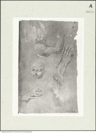 Vorderseite von Istituto Nazionale per la Grafica [https://www.deutsche-digitale-bibliothek.de/content/lizenzen/rv-ez/] Detailstudien - , bh464041_recto. Foto.