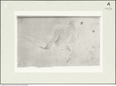 Vorderseite von Istituto Nazionale per la Grafica [https://www.deutsche-digitale-bibliothek.de/content/lizenzen/rv-ez/] Männliche Büste - , bh464048_recto. Foto.