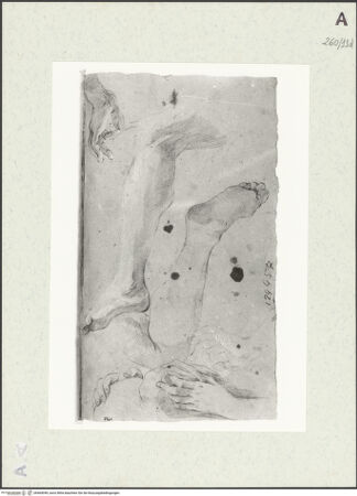 Vorderseite von Istituto Nazionale per la Grafica [https://www.deutsche-digitale-bibliothek.de/content/lizenzen/rv-ez/] Bein- und Handstudien - , bh464049_recto. Foto.