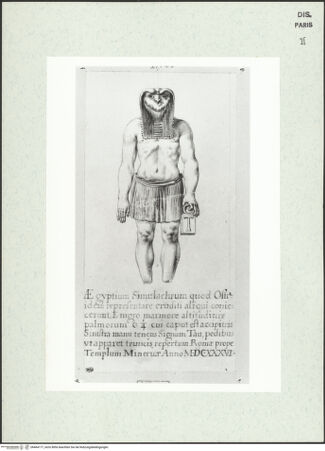 Vorderseite von bh464177_recto