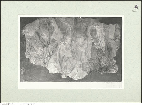 Vorderseite von bh464228_recto