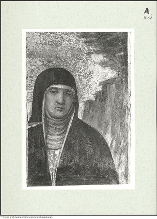 Vorderseite von bh464260_recto