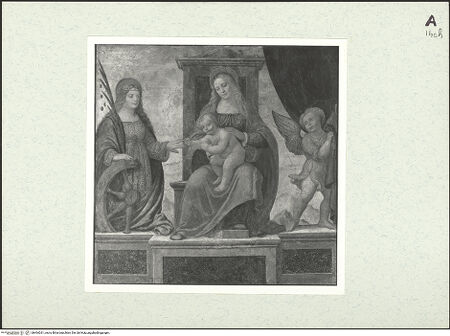 Vorderseite von bh464261_recto