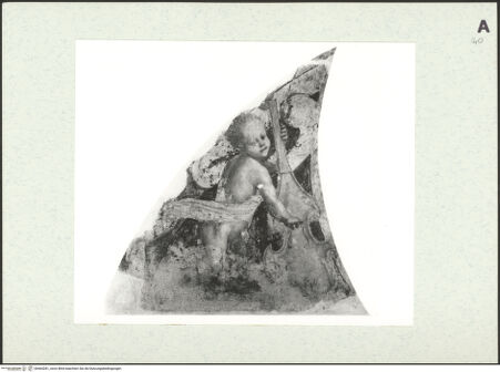 Vorderseite von bh464281_recto