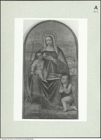 Vorderseite von bh464301_recto