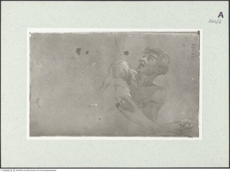 Vorderseite von Istituto Nazionale per la Grafica [https://www.deutsche-digitale-bibliothek.de/content/lizenzen/rv-ez/] Büste eines stürzenden Mannes - , bh464308_recto. Foto.