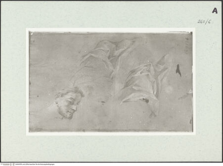 Vorderseite von Istituto Nazionale per la Grafica [https://www.deutsche-digitale-bibliothek.de/content/lizenzen/rv-ez/] Männlicher Kopf - , bh464309_recto. Foto.