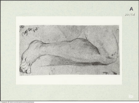 Vorderseite von Istituto Nazionale per la Grafica [https://www.deutsche-digitale-bibliothek.de/content/lizenzen/rv-ez/] Gebeugtes rechtes Bein - , bh464310_recto. Foto.