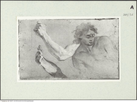 Vorderseite von Istituto Nazionale per la Grafica [https://www.deutsche-digitale-bibliothek.de/content/lizenzen/rv-ez/] Männliche Aktstudie in Halbfigur. Armstudien - , bh464311_recto. Foto.