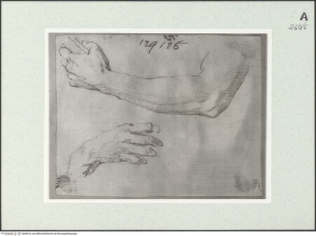 Vorderseite von Istituto Nazionale per la Grafica [https://www.deutsche-digitale-bibliothek.de/content/lizenzen/rv-ez/] Arm- und Handstudien - , bh464316_recto. Foto.