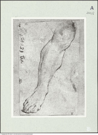 Vorderseite von Istituto Nazionale per la Grafica [https://www.deutsche-digitale-bibliothek.de/content/lizenzen/rv-ez/] Beinstudie - , bh464317_recto. Foto.