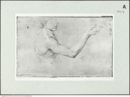 Vorderseite von Istituto Nazionale per la Grafica [https://www.deutsche-digitale-bibliothek.de/content/lizenzen/rv-ez/] Männliche Aktstudie in Halbfigur - , bh464321_recto. Foto.