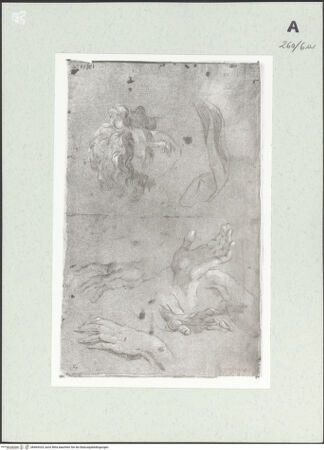 Vorderseite von Istituto Nazionale per la Grafica [https://www.deutsche-digitale-bibliothek.de/content/lizenzen/rv-ez/] Detailstudien - , bh464324_recto. Foto.