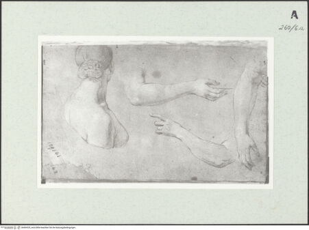 Vorderseite von Istituto Nazionale per la Grafica [https://www.deutsche-digitale-bibliothek.de/content/lizenzen/rv-ez/] Weibliche Büste. Armstudien - , bh464325_recto. Foto.