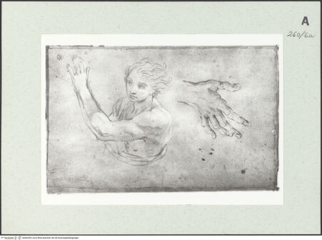 Vorderseite von Istituto Nazionale per la Grafica [https://www.deutsche-digitale-bibliothek.de/content/lizenzen/rv-ez/] Männliche Aktstudie in Halbfigur. Handstudie - , bh464330_recto. Foto.