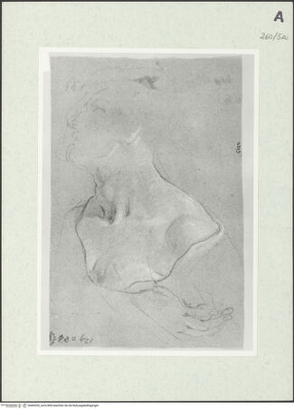 Vorderseite von Istituto Nazionale per la Grafica [https://www.deutsche-digitale-bibliothek.de/content/lizenzen/rv-ez/] Büste einer nach oben blickenden Gestalt - , bh464332_recto. Foto.