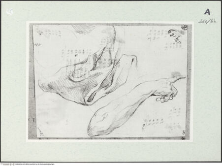 Vorderseite von Istituto Nazionale per la Grafica [https://www.deutsche-digitale-bibliothek.de/content/lizenzen/rv-ez/] Arm- und Draperiestudie - , bh464334_recto. Foto.